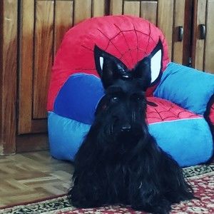 Meet your Posher, Kari